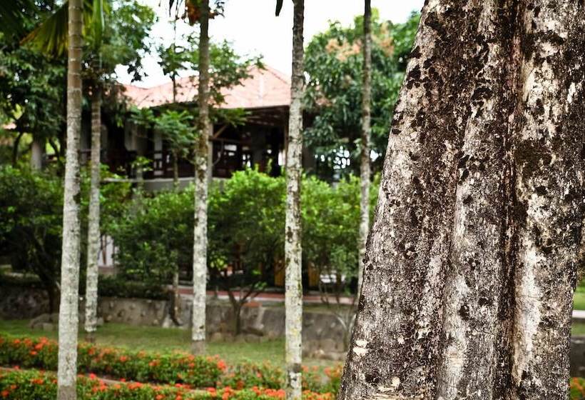 Отель Boutique Villas De San Sebastián