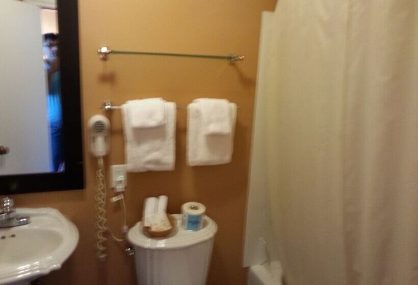 فندق Bracebridge Inn