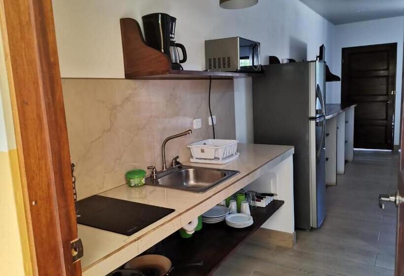 호텔 Cabinas El Colibri