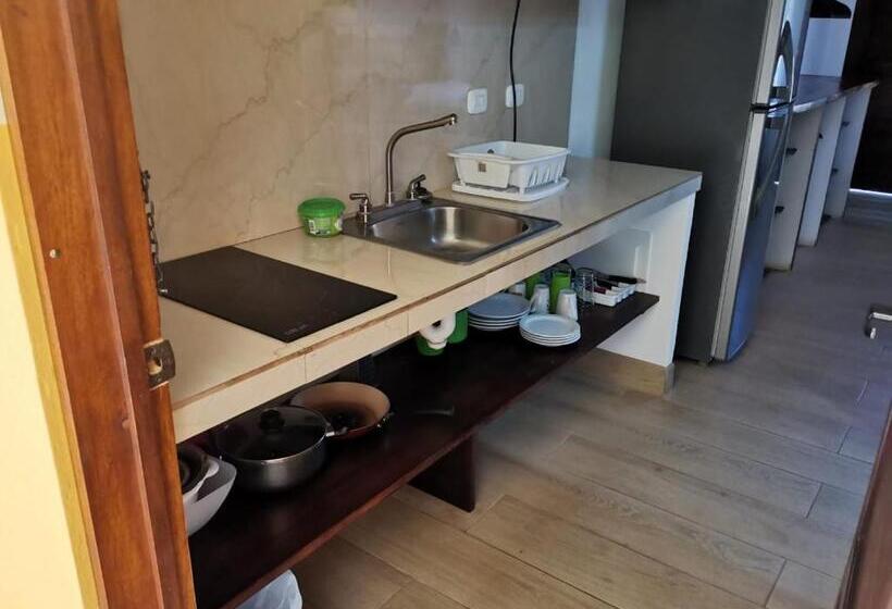 호텔 Cabinas El Colibri