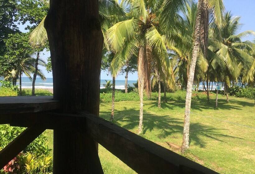 酒店 Cabinas Miss Miriam 2