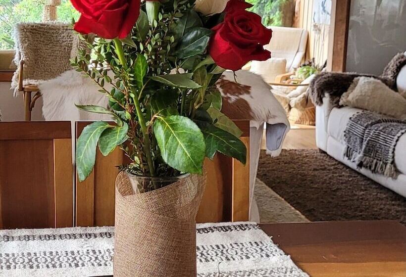 בית מלון כפרי Canales Del Sur