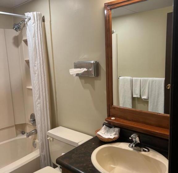 فندق Capri Motor Inn