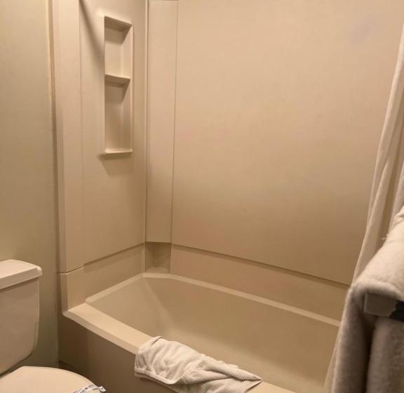 فندق Capri Motor Inn