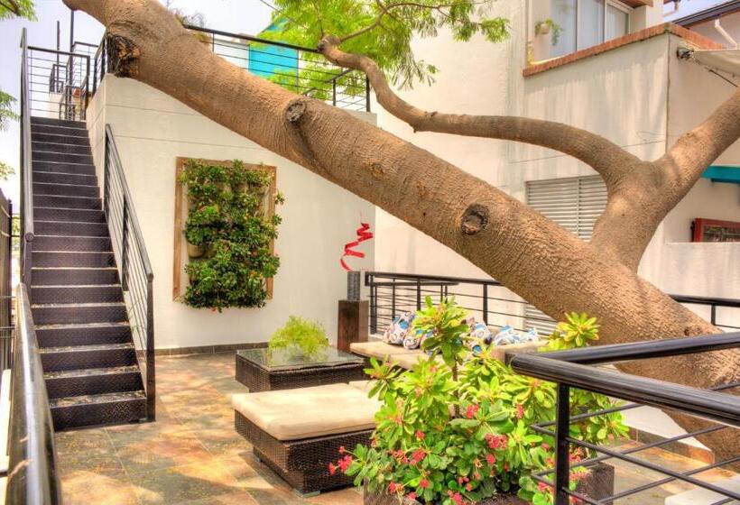 هتل Casa De Leda, A Kali