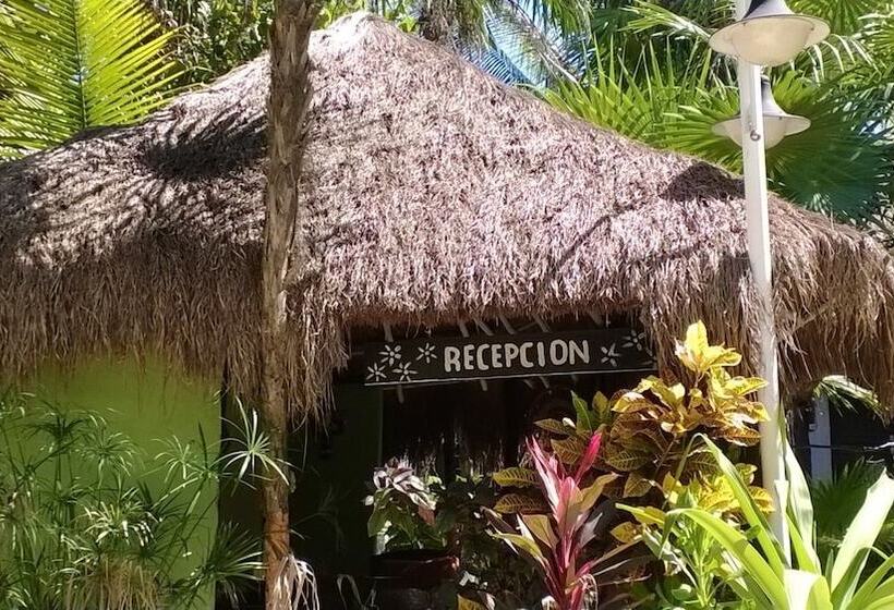 Отель Chancabañita Tulum