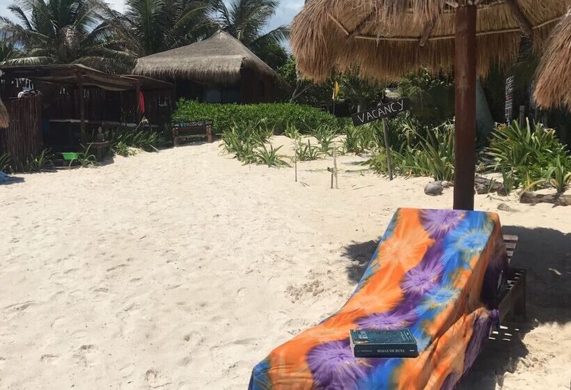 Отель Chancabañita Tulum