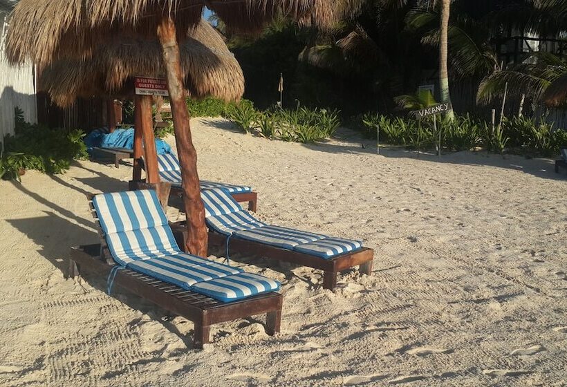 Отель Chancabañita Tulum