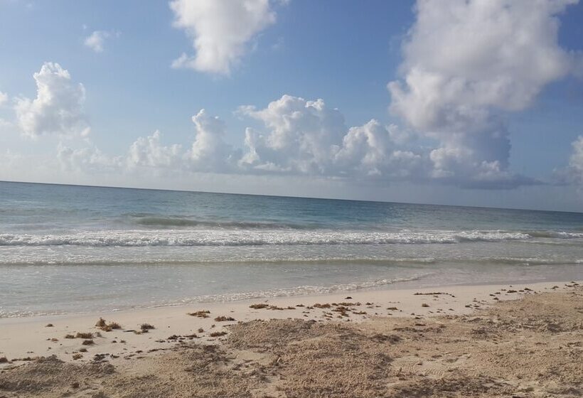 Отель Chancabañita Tulum