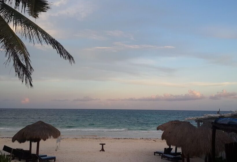 Отель Chancabañita Tulum