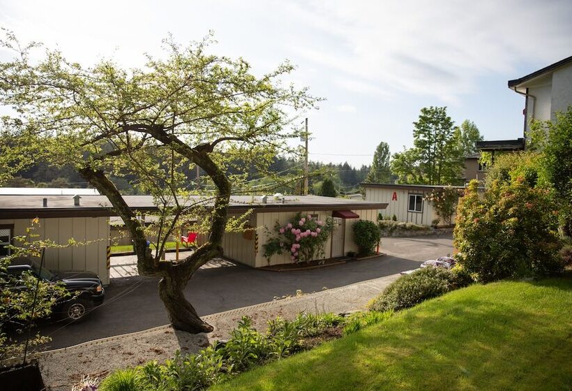 호텔 Cherry Tree Inn Victoria