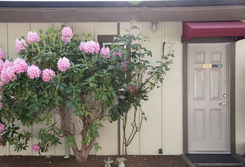 호텔 Cherry Tree Inn Victoria