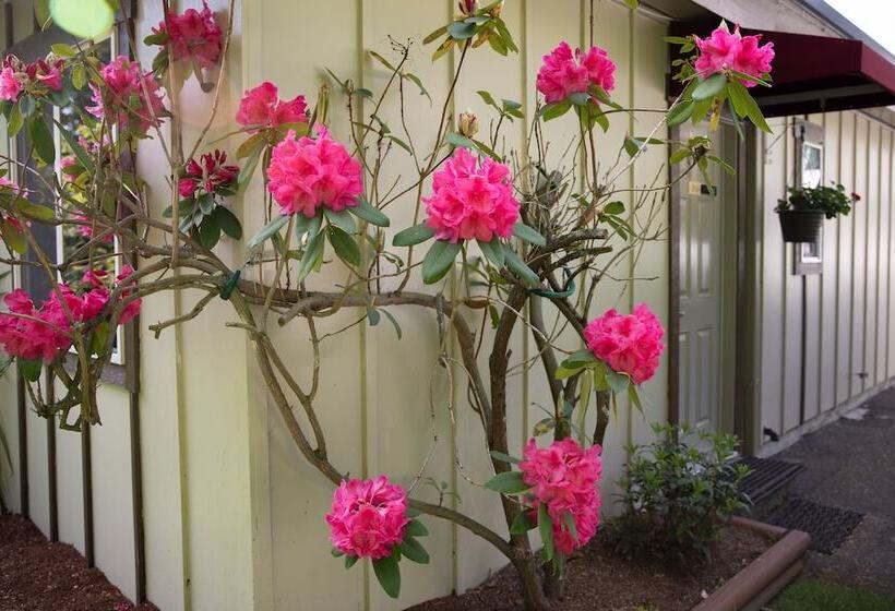 호텔 Cherry Tree Inn Victoria