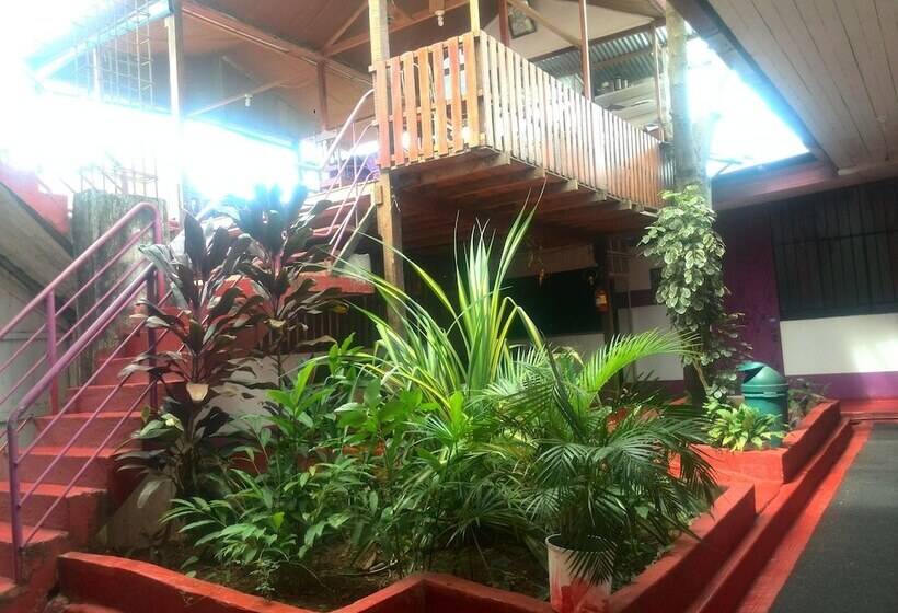 هتل Chimicuas House