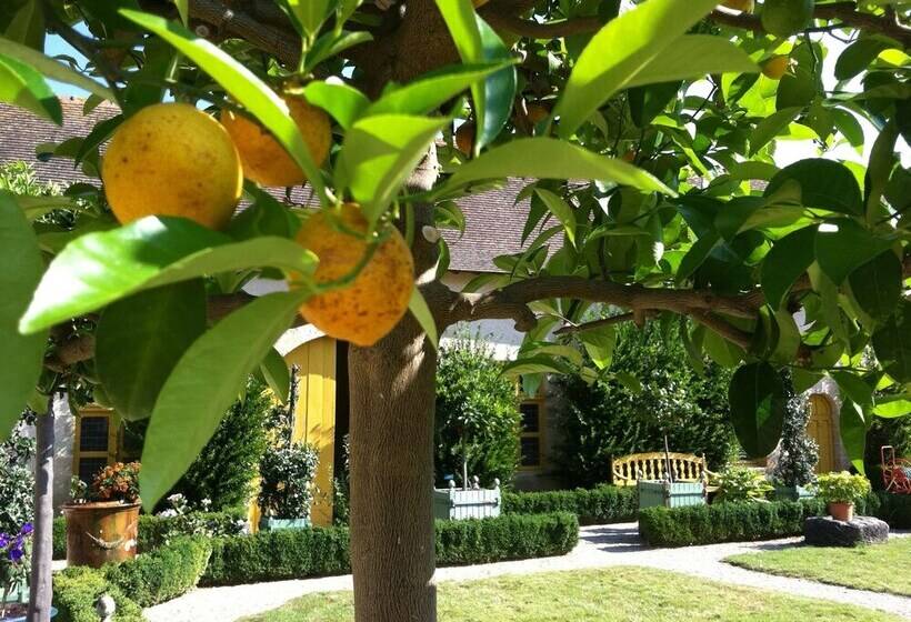 בית מלון כפרי Château De Saint Loup