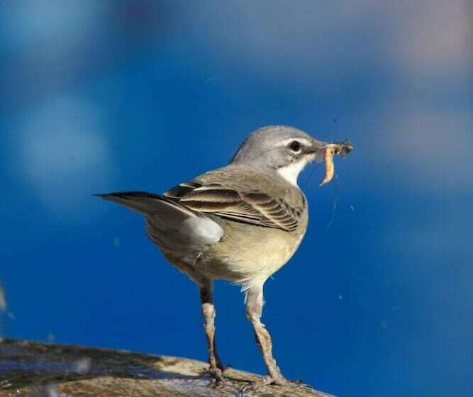 호텔 Cinnamon Boutique Guest House