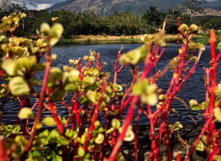 Colinas Del Miravalles Hotel & Hot Springs