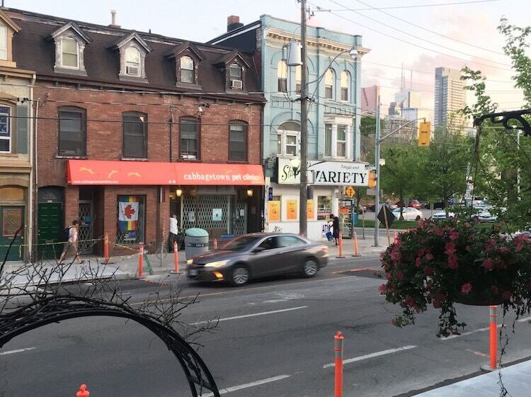 בית מלון כפרי Comfy Guest House