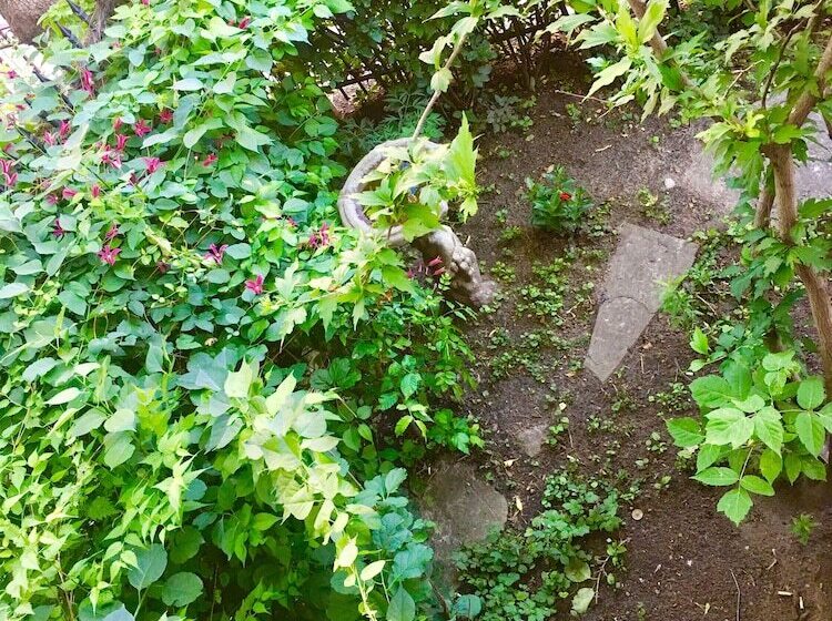 בית מלון כפרי Comfy Guest House