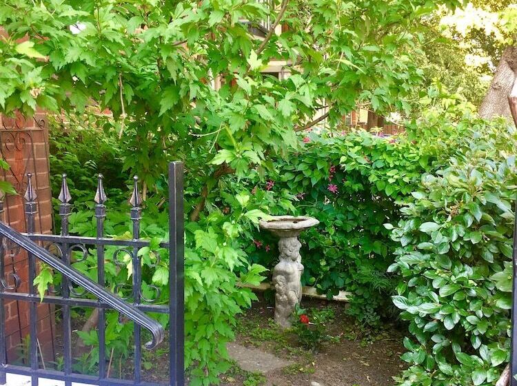 בית מלון כפרי Comfy Guest House