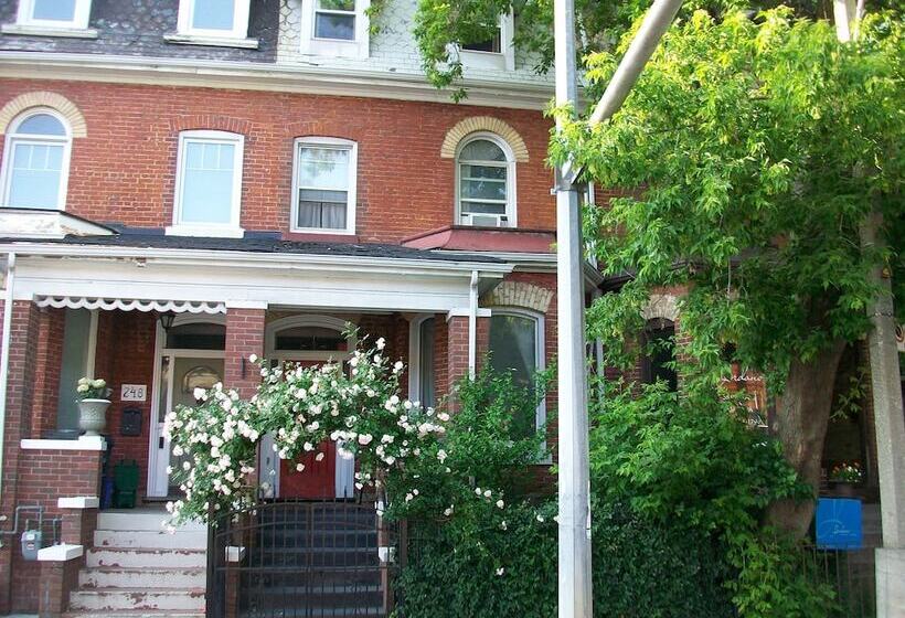 בית מלון כפרי Comfy Guest House