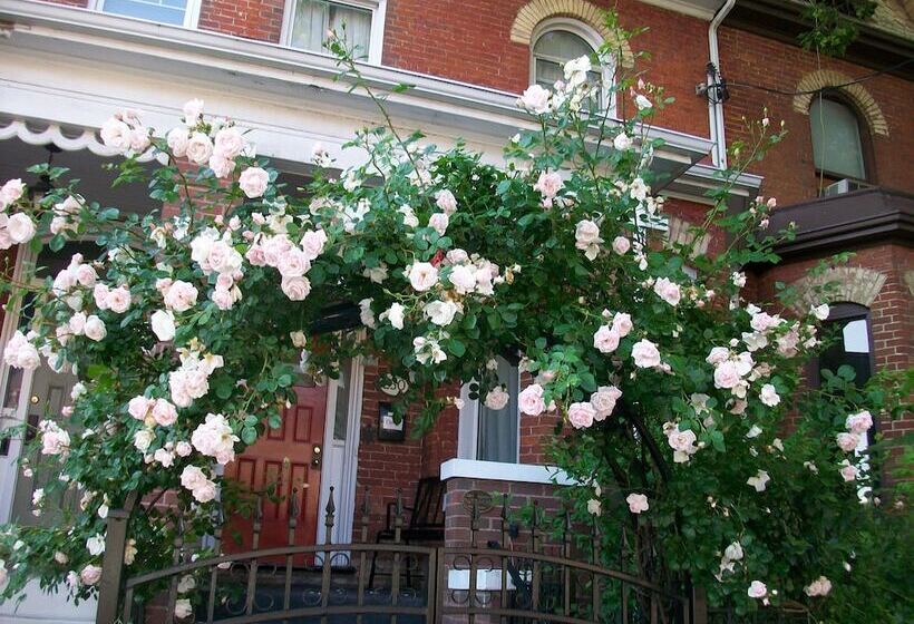 בית מלון כפרי Comfy Guest House