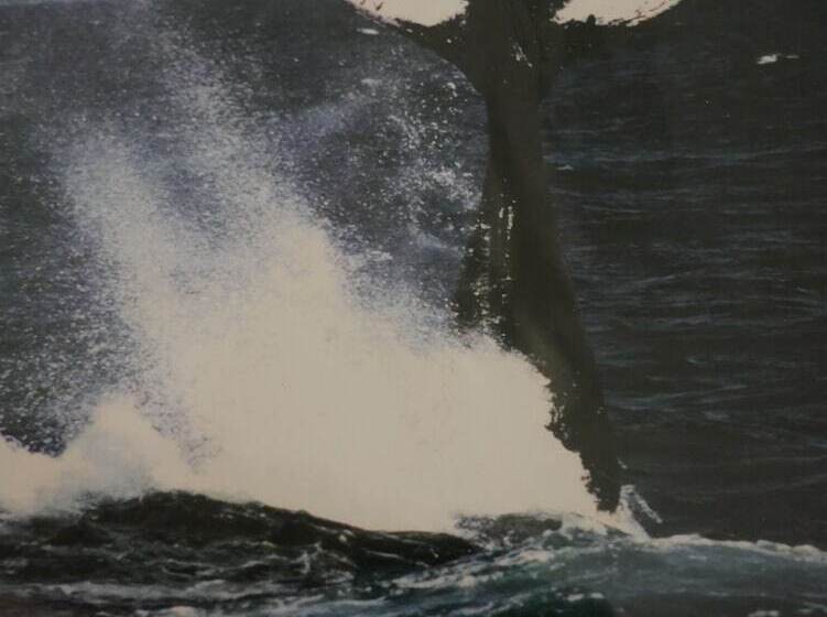 בית מלון כפרי Costarena Beach