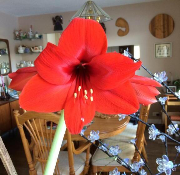 هتل Cycle Inn Bed And Breakfast