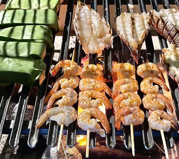 בית מלון כפרי Dolphin