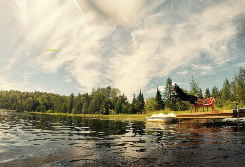 ホテル Domaine Summum