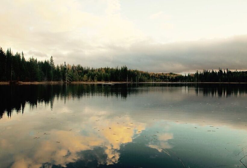 ホテル Domaine Summum