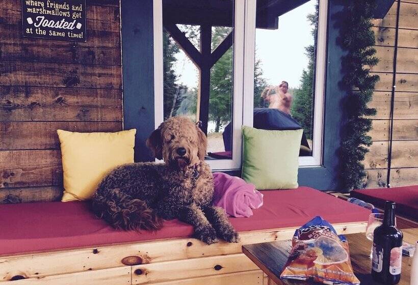 ホテル Domaine Summum