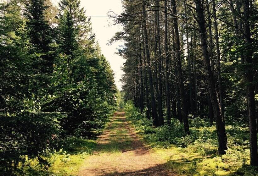 ホテル Domaine Summum