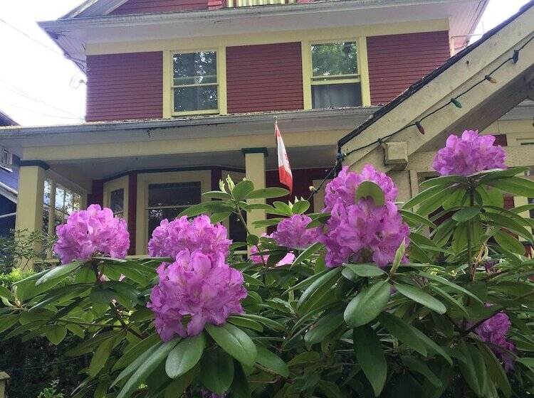 酒店 Douglas Guest House