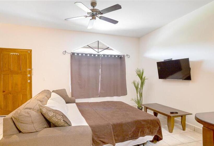 호텔 Downtown Suites