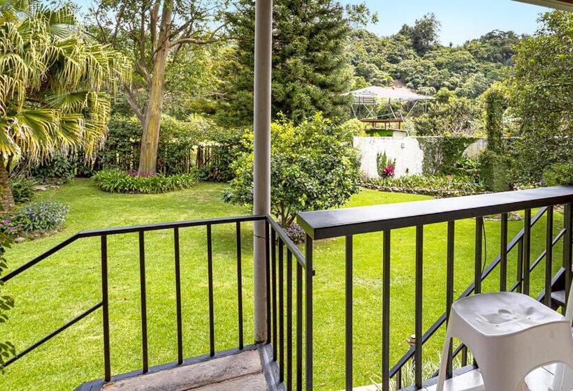 호텔 Downtown Suites