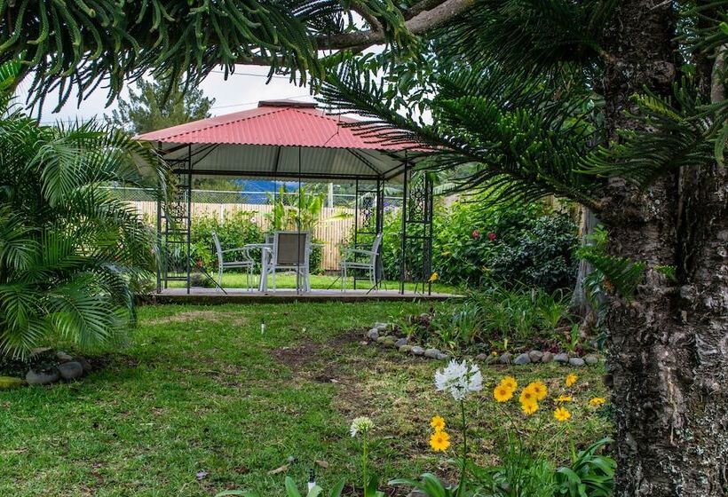 호텔 Downtown Suites