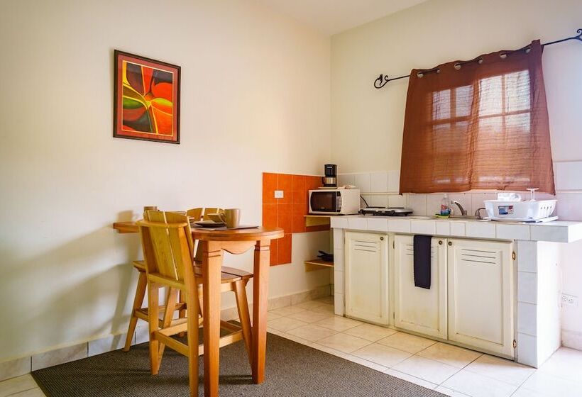 호텔 Downtown Suites