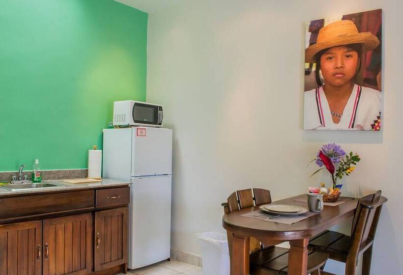 호텔 Downtown Suites