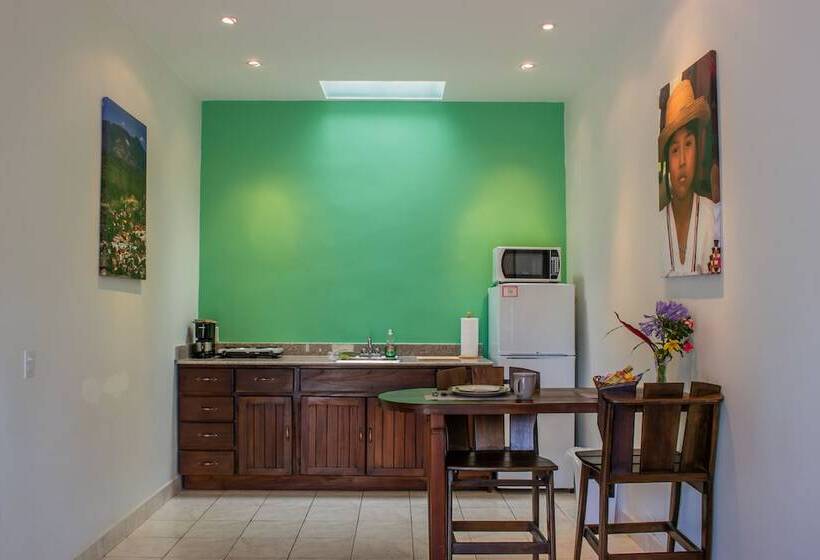 호텔 Downtown Suites