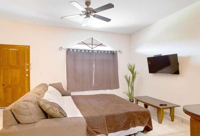 호텔 Downtown Suites