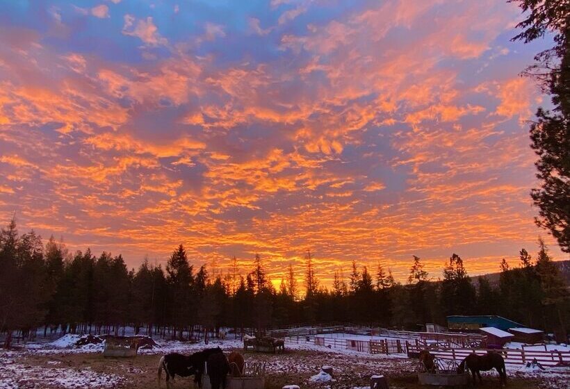 فندق Dream Haven Guest Ranch