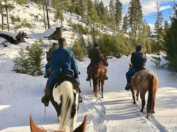 فندق Dream Haven Guest Ranch