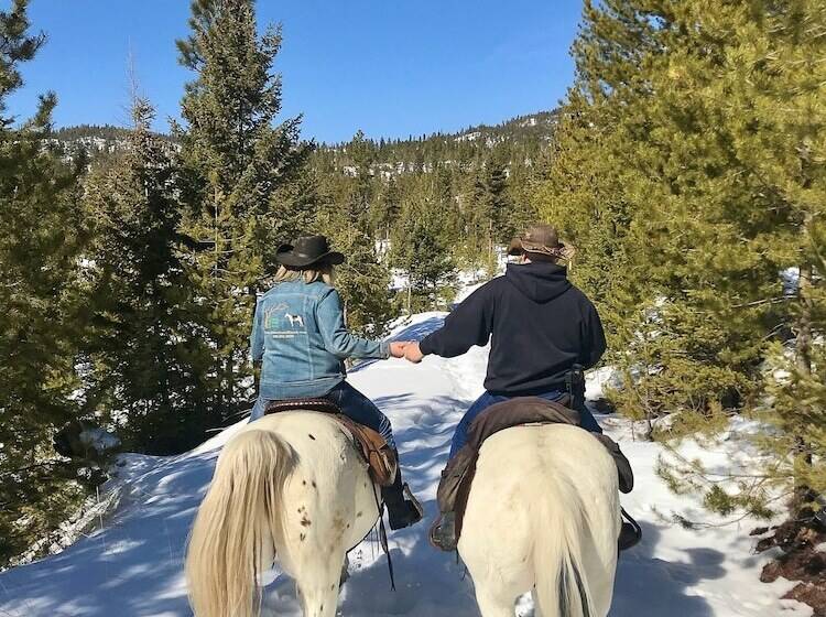 فندق Dream Haven Guest Ranch