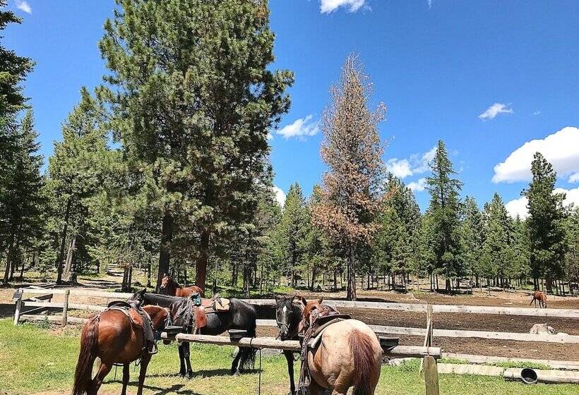 فندق Dream Haven Guest Ranch