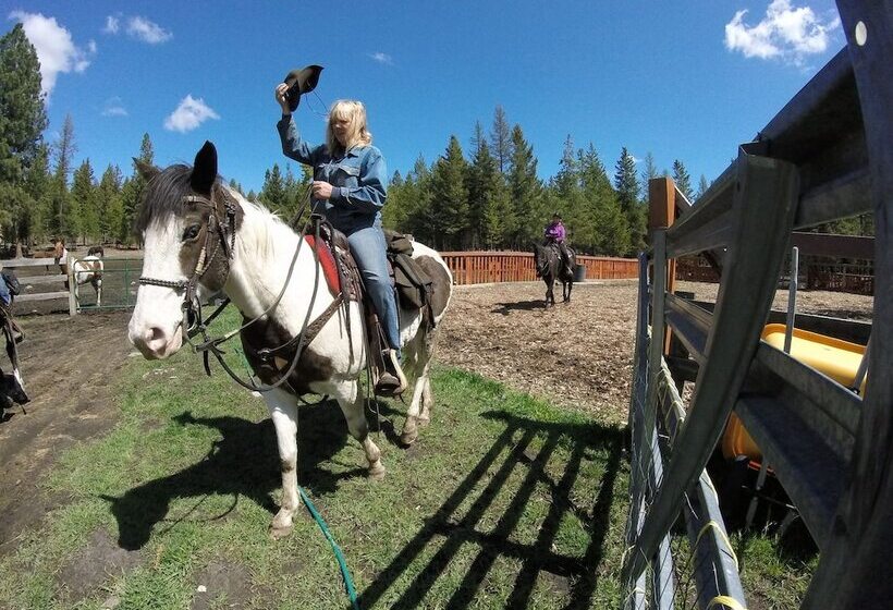 فندق Dream Haven Guest Ranch