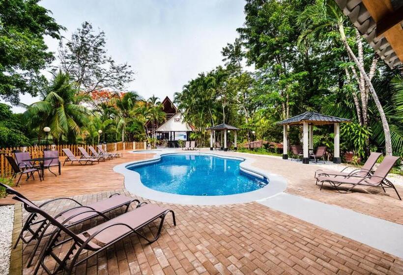 Отель El Sueno Tropical