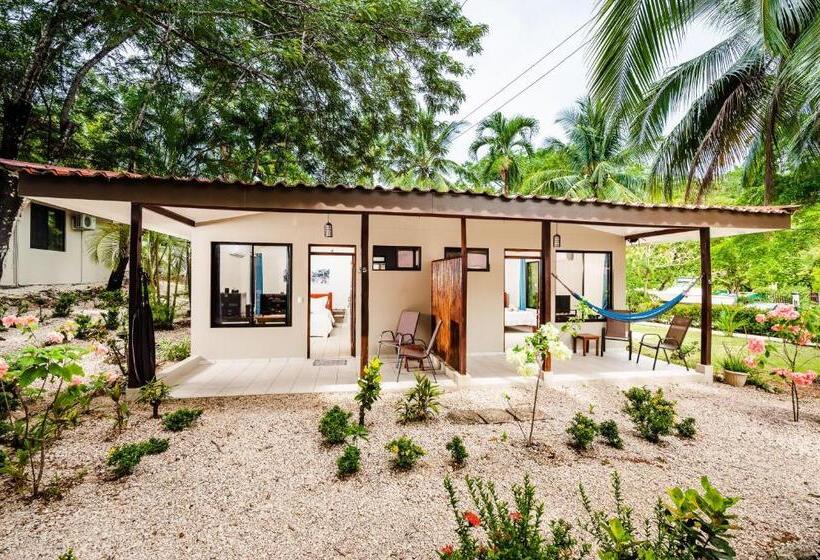 Отель El Sueno Tropical