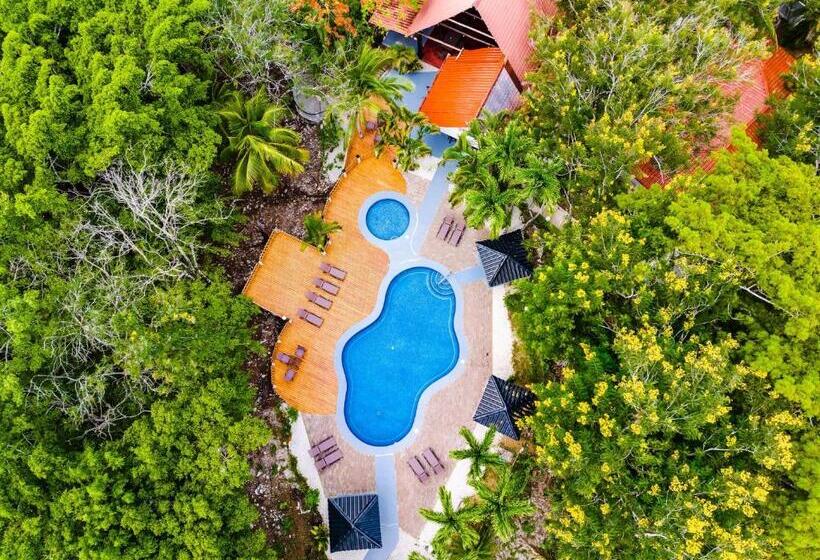 Отель El Sueno Tropical