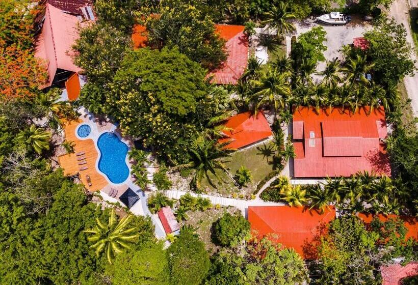 Отель El Sueno Tropical